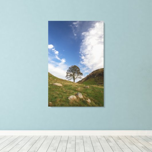 Sycamore Gap Stretched Canvas Print Leinwanddruck (Insitu (Holzboden))