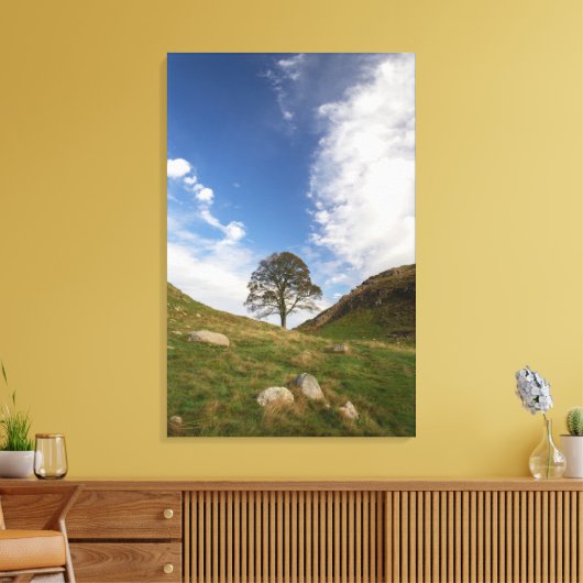 Sycamore Gap Stretched Canvas Print Leinwanddruck (Insitu (Wohnzimmer))