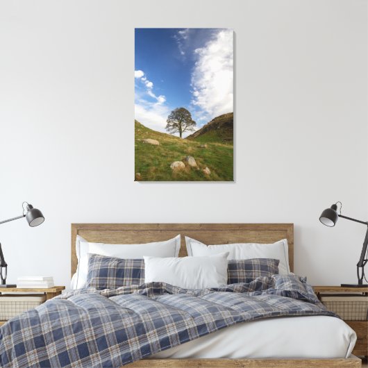 Sycamore Gap Stretched Canvas Print Leinwanddruck (Insitu (Schlafzimmer))