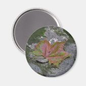 Sycamore Leaf Magnet (Vorderseite/Rückseite)