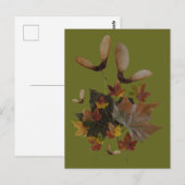 Sycamore Maple Blätter Collage DIY Postkarte (Vorne/Hinten)