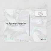 Sycamore Postkarte (Rückseite)