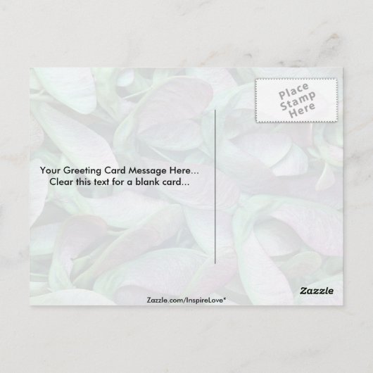 Sycamore Postkarte (Rückseite)