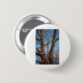 Sycamore Sunrise Button (Vorne & Hinten)