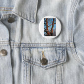 Sycamore Sunrise Button (Beispiel)