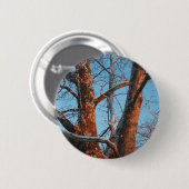 Sycamore Sunrise Button (Vorne & Hinten)