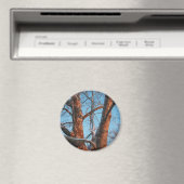 Sycamore Sunrise Magnet (In Situ (Geschirrspüler))