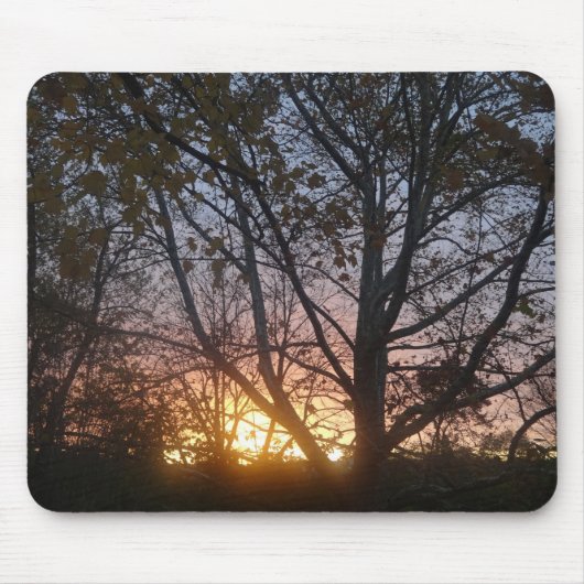 Sycamore Sunrise Mousepad (Vorne)