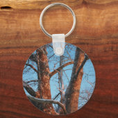 Sycamore Sunrise Schlüsselanhänger (Vorderseite)