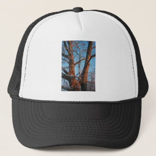 Sycamore Sunrise Truckerkappe
