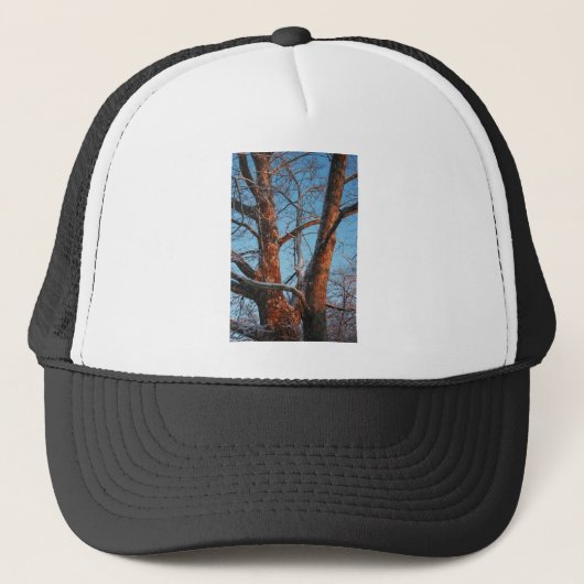 Sycamore Sunrise Truckerkappe (Vorderseite)