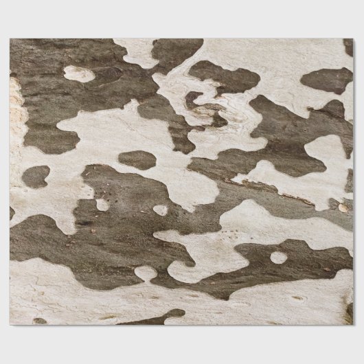 Sycamore Tree Bark Geschenkpapier (Flach)