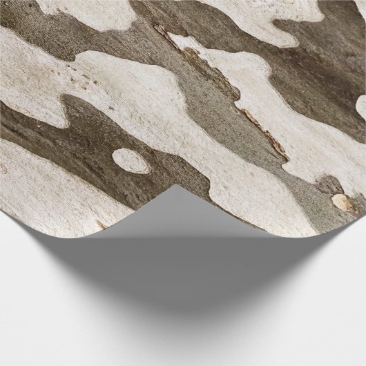 Sycamore Tree Bark Geschenkpapier (Ecke)