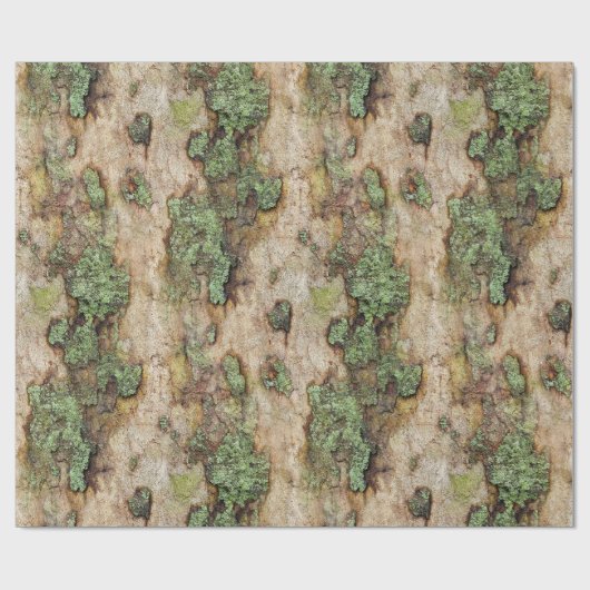 Sycamore Tree Bark Moss Lichen Geschenkpapier (Flach)