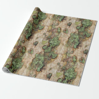 Sycamore Tree Bark Moss Lichen Geschenkpapier