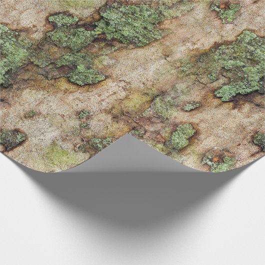 Sycamore Tree Bark Moss Lichen Geschenkpapier (Ecke)