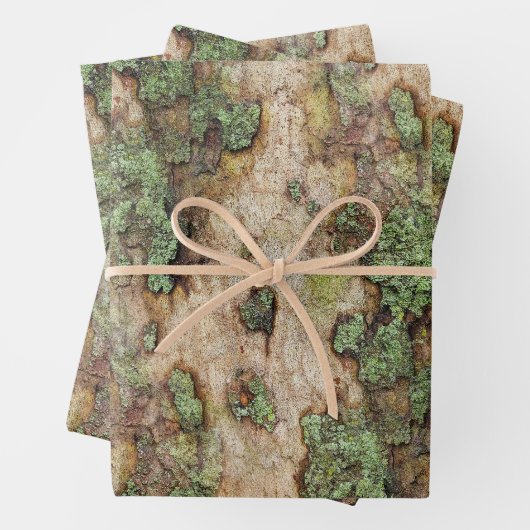 Sycamore Tree Bark Moss Lichen Geschenkpapier Set (Beispiel)