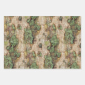 Sycamore Tree Bark Moss Lichen Geschenkpapier Set (Vorderseite)