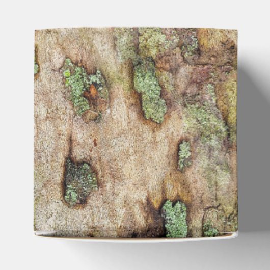 Sycamore Tree Bark Moss Lichen Geschenkschachtel (Oben)