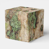 Sycamore Tree Bark Moss Lichen Geschenkschachtel (Rückseite)