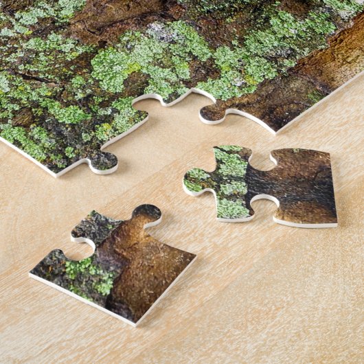 Sycamore Tree Bark Moss Lichen Puzzle (Seite)