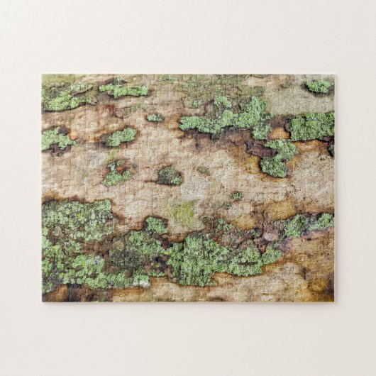 Sycamore Tree Bark Moss Lichen Puzzle (Horizontal)