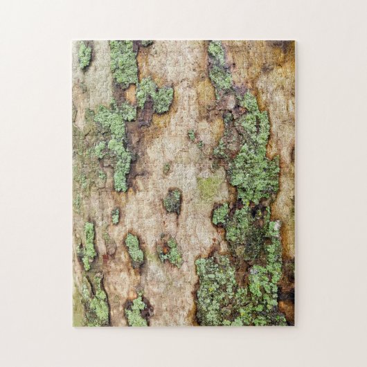 Sycamore Tree Bark Moss Lichen Puzzle (Vertikal)