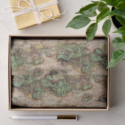 Sycamore Tree Bark Moss Lichen Seidenpapier (Geschenk)