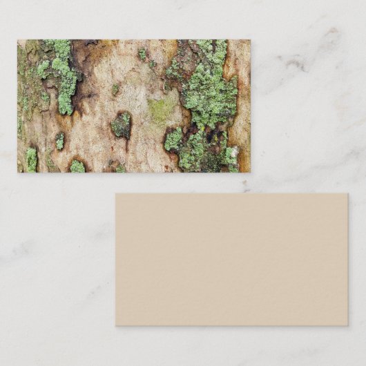 Sycamore Tree Bark Moss Lichen Visitenkarte (Vorne/Hinten)