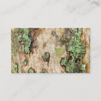 Sycamore Tree Bark Moss Lichen Visitenkarte