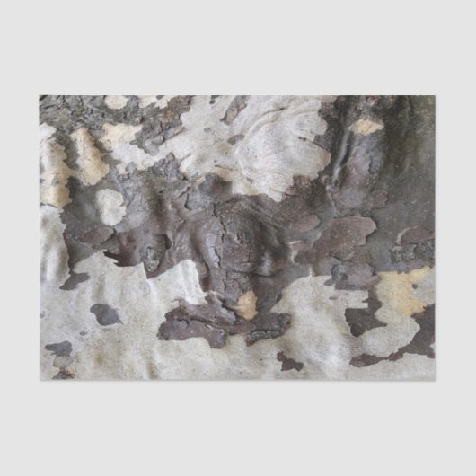 Sycamore Tree Bark Peeling und Shedding Seidenpapier (Vorderseite)