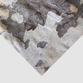 Sycamore Tree Bark Peeling und Shedding Seidenpapier (Ausschnitt)