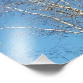 Sycamore Tree Fotodruck (Ecke)