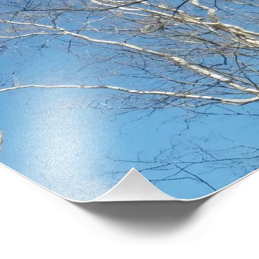 Sycamore Tree Fotodruck (Ecke)