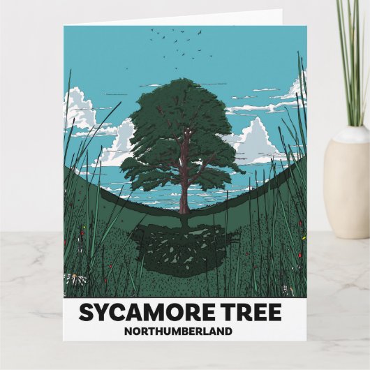 Sycamore Tree Gap Karte (Vorderseite)