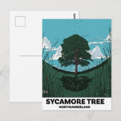 Sycamore Tree Gap Postkarte (Vorne/Hinten)