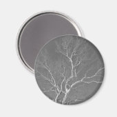 Sycamore Tree gegen Winterhimmelelemente Magnet (Vorderseite/Rückseite)