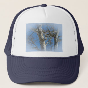 Sycamore Tree gegen Winterhimmelelemente Truckerkappe