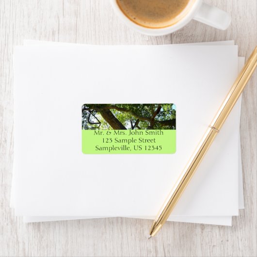 Sycamore Tree Green Nature Adressaufkleber (Insitu)