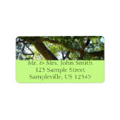 Sycamore Tree Green Nature Adressaufkleber (Vorne)