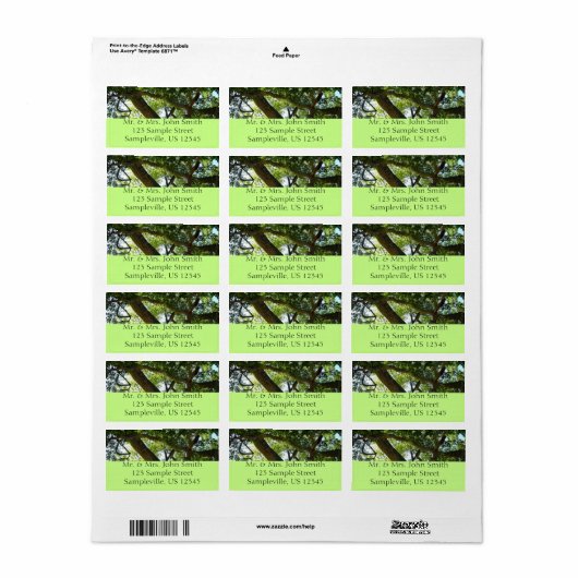 Sycamore Tree Green Nature Adressaufkleber (Vorne)