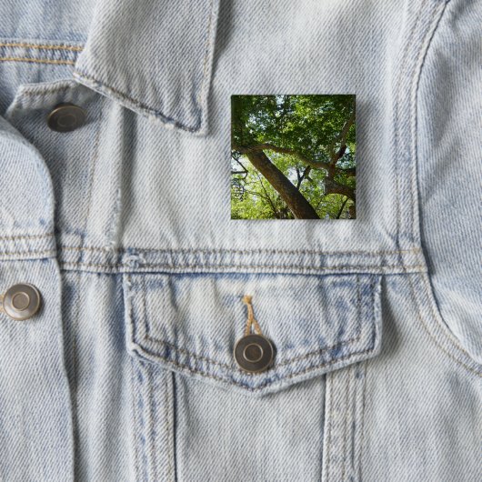 Sycamore Tree Green Nature Button (Beispiel)
