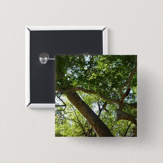 Sycamore Tree Green Nature Button (Vorne & Hinten)