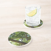 Sycamore Tree Green Nature Getränkeuntersetzer (Seite)