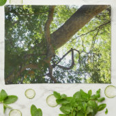 Sycamore Tree Green Nature Handtuch (Gefaltet)