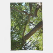 Sycamore Tree Green Nature Handtuch (Vertikal)