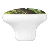 Sycamore Tree Green Nature Keramikknauf (Seitenansicht)