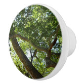 Sycamore Tree Green Nature Keramikknauf (Rechts)