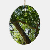 Sycamore Tree Green Nature Keramikornament (Rechts)