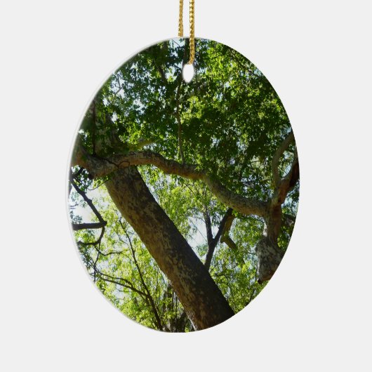 Sycamore Tree Green Nature Keramikornament (Rechts)